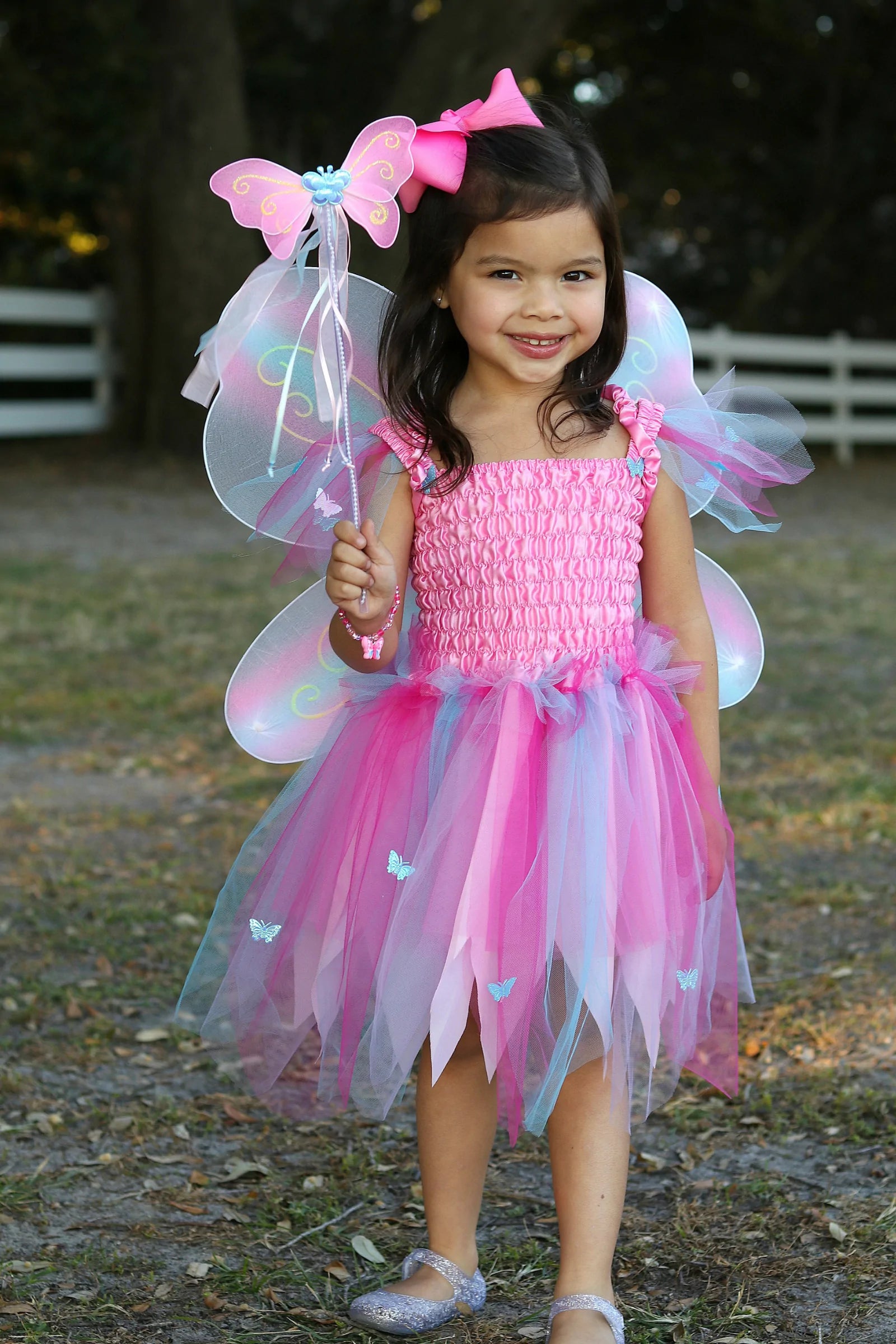 Butterfly Dress & Wings With Wand 